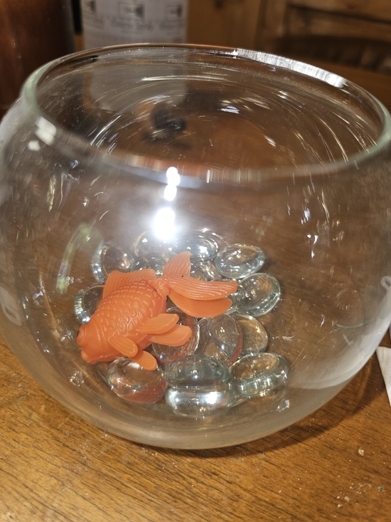 Other - Just Add Water Goldfish With Fish Bowl - Pets For The Busy